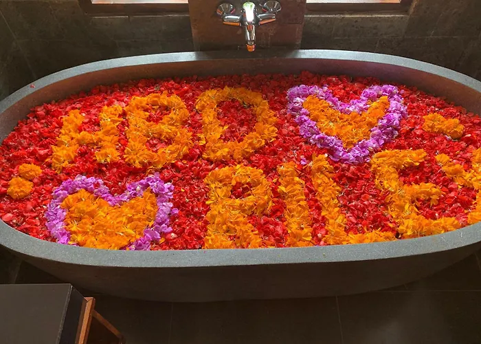 Poka Hidden Paradise & By Eps